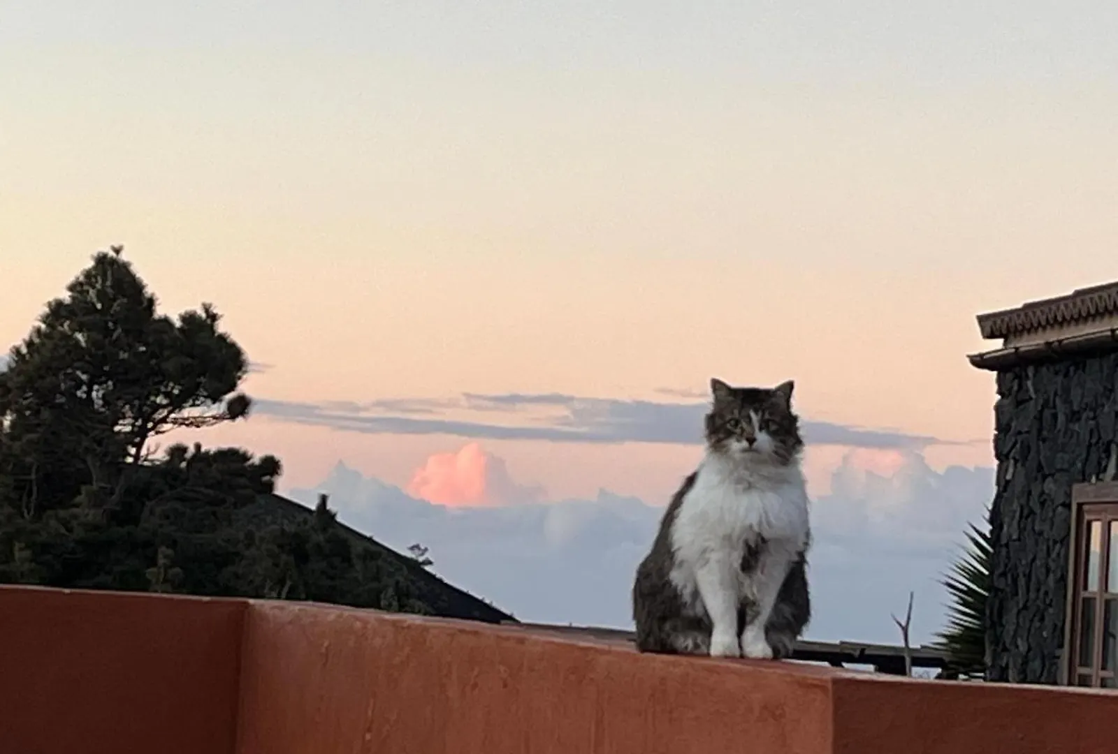 La Casa Del Volcan Las Indias Spain