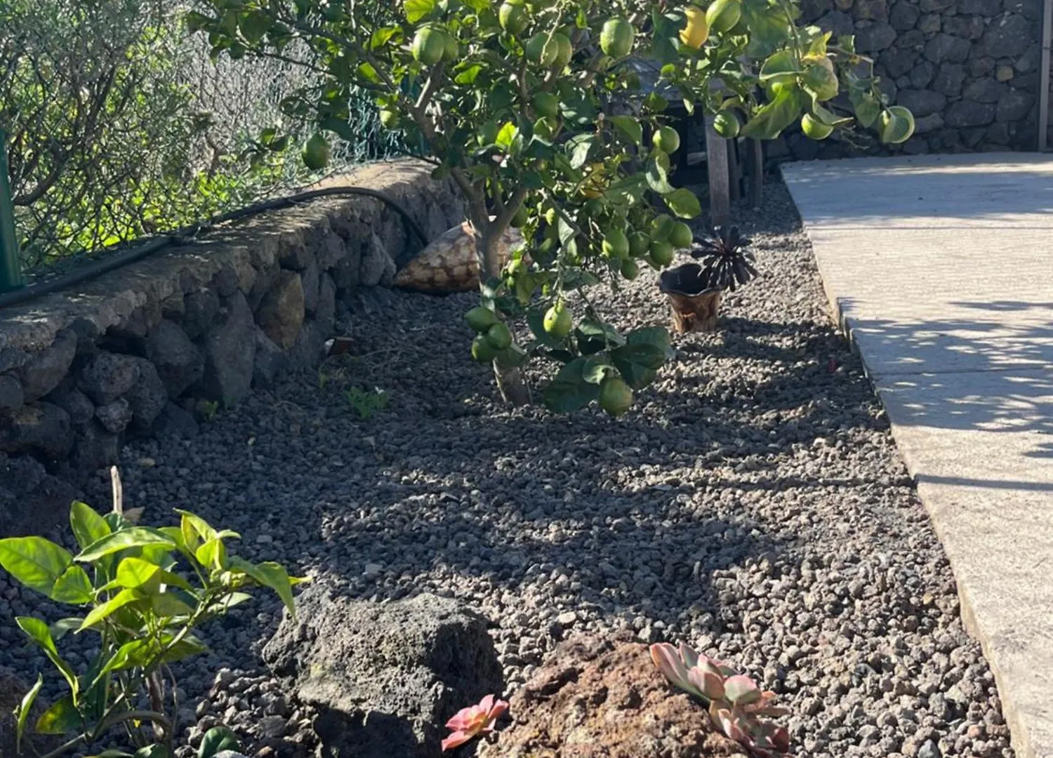 La Casa Del Volcan Las Indias